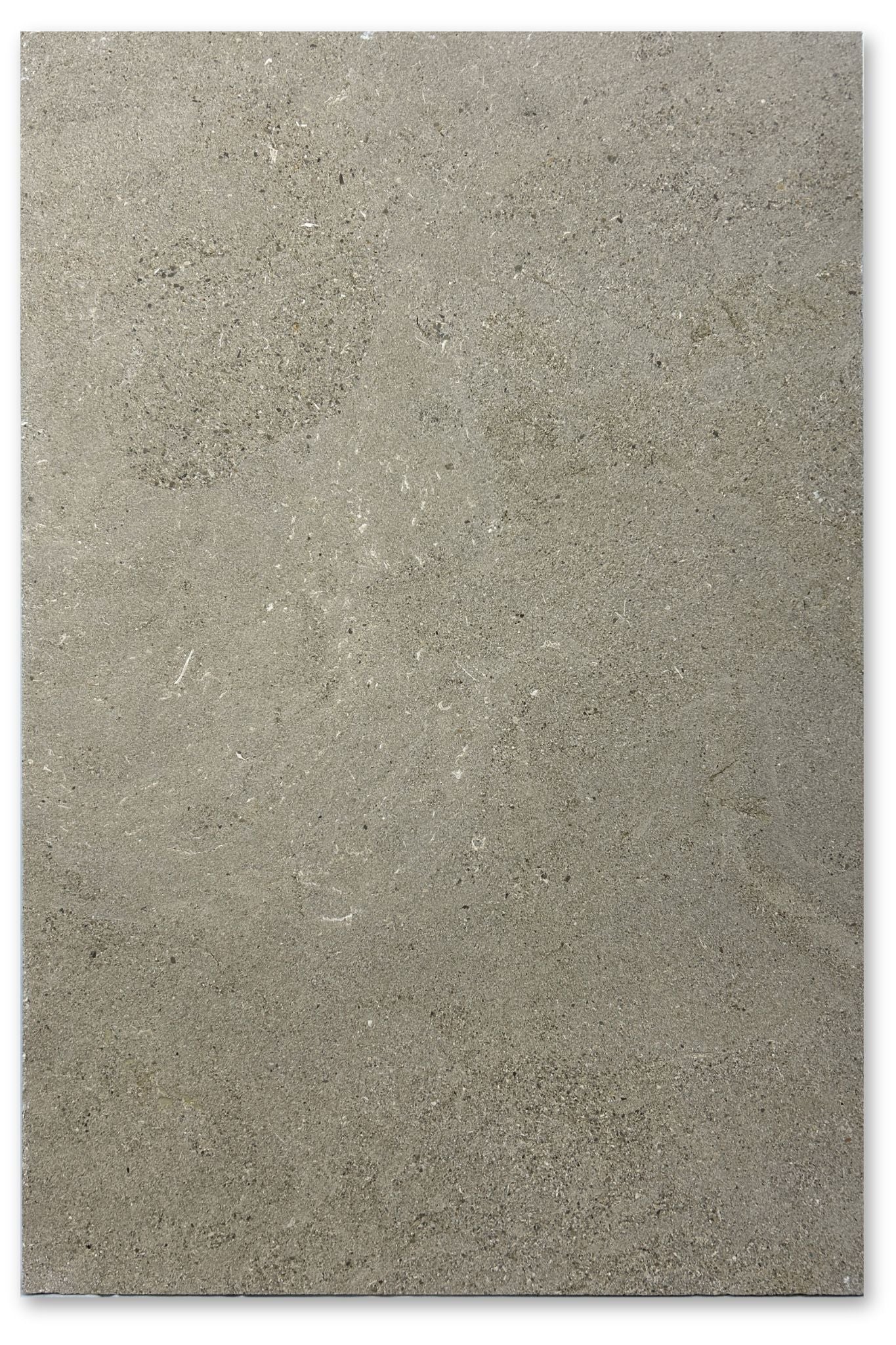 16x24 Zola Beige | Brushed Limestone Tile