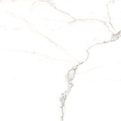 12x12 Opulence Porcelain Tile | Calacatta Matte